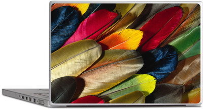 

LUCANT Colourfull Wings Laptop skin designer,multicolor free Size For 13 inch to 15.6 inch Laptops Decal Skins Vinyl Laptop Decal 15.6