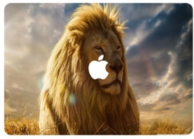 

FIVE ON FIVE Macbookair133117 VINYL Laptop Decal 13.3