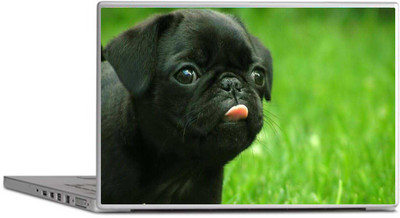 

LUCANT Black Puppy Laptop skin designer,multicolor free Size For 13 inch to 15.6 inch Laptops Decal Skins Vinyl Laptop Decal 15.6