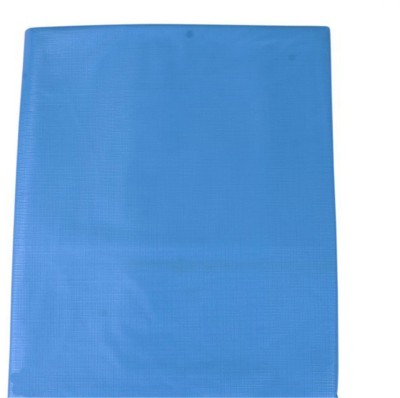 Goodluck PVC (Polyvinyl Chloride) Baby Bed Protecting Mat(sky Blue, Extra Large)