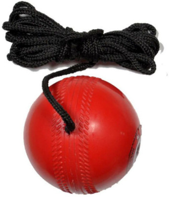 

Tima FKT Hanging Ball Vib2765 For Cricket Practice With Reaction String Cricket Training Ball(Pack of 1, Red)