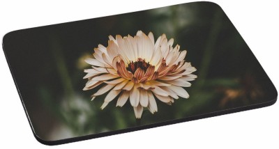 

PRINTHUBS Painting Designer | Printed Mouse Pad | High Quality Waterproof Coating Gaming Mouse Pad (Multicolor) -662 Mousepad(Multicolor)