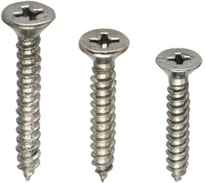 

Spider Stainless Steel Bugle Head Self-tapping Screw(6 mm Pack of 300)
