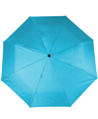 

Flipkart SmartBuy 2 Fold Auto Open Polyester Umbrella(Blue)