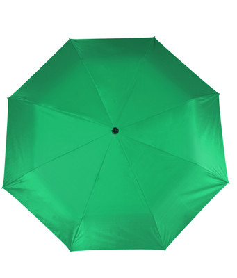 

Flipkart SmartBuy 2 fold Auto Open Nylon Umbrella(Green)