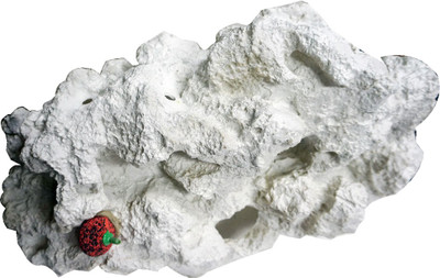 

Bluerider Aquarium Subatrate River Rock Unplanted Substrate(White)