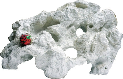 

Bluerider Aquarium Subatrate River Rock Unplanted Substrate(White)