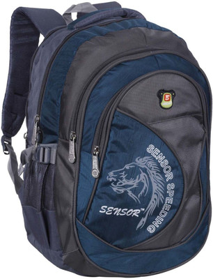 

Sensor Gracia 30 L Backpack(Blue, Grey)