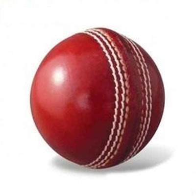 

Grace LEATHER BALL [PACK OF 24] Cricket Leather Ball(Pack of 24, Red)