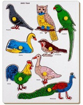 

SHRIBOSSJI BIRDS WOODEN PUZZLE FOR KIDS FOR LEARNING(1 Pieces)