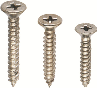 

Spider Stainless Steel Bugle Head Self-tapping Screw(19 mm Pack of 600)