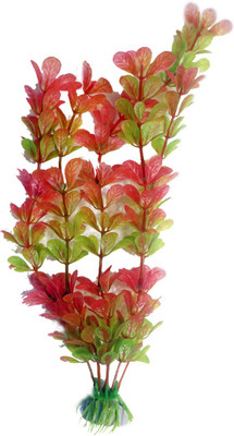 Bluerider BR603 Aquarium Plant Anchor({Plant Anchors1)