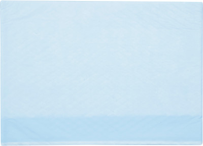 

HealthShine Under pad-L - L(10 Pieces)