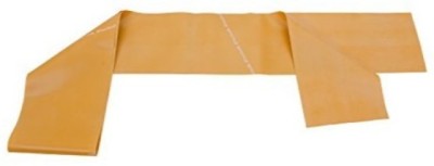 

Thera-Band Gold Max Resistance Latex Exercise Band 5 Feet( Length) x 5 Inches( Width) Resistance Band(Gold, Pack of 1)