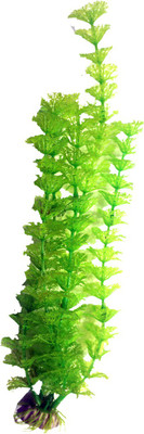 

Bluerider BR08 Aquarium Plant Anchor({Plant Anchors1)