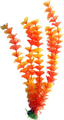 

Bluerider BR03 Aquarium Plant Anchor({Plant Anchors1)