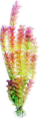 

Bluerider BR604 Aquarium Plant Anchor({Plant Anchors1)