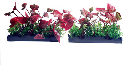 

Bluerider BR27 Aquarium Plant Anchor({Plant Anchors2)