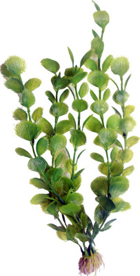 

Bluerider BR15 Aquarium Plant Anchor({Plant Anchors1)