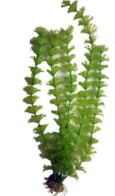 

Bluerider BR602 Aquarium Plant Anchor({Plant Anchors1)