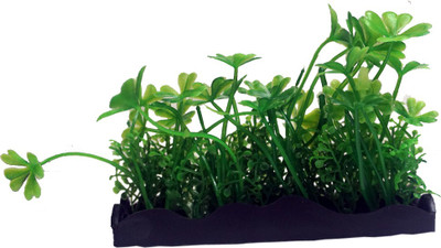 Bluerider BR24 Aquarium Plant Anchor({Plant Anchors1)