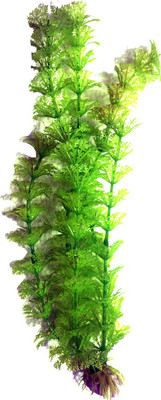 

Bluerider BR611 Aquarium Plant Anchor({Plant Anchors1)