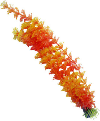 

Bluerider BR02 Aquarium Plant Anchor({Plant Anchors1)