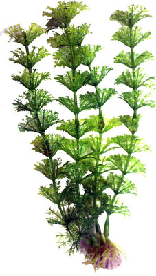 

Bluerider BR625 Aquarium Plant Anchor({Plant Anchors1)