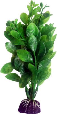 

Bluerider BR32 Aquarium Plant Anchor({Plant Anchors1)