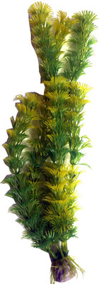 

Bluerider BR615 Aquarium Plant Anchor({Plant Anchors1)