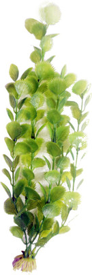 

Bluerider BR628 Aquarium Plant Anchor({Plant Anchors1)