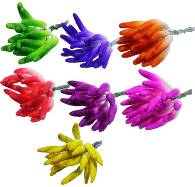 

Aadya Crafts Craft Artifical Polons 17