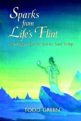 Sparks from Life's Flint--Meditations for the Future Soul, Today(English, Paperback, Green Todd)
