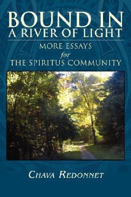 Bound in a River of Light(English, Paperback, Redonnet Michelle)