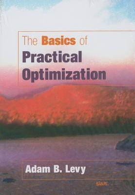 The Basics of Practical Optimization(English, Paperback, Levy Adam B)