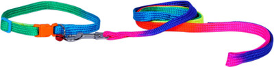 

Sicons Dog Leash & Collar Nylon Puppy Adjustable Printed Ranvo Colour 1/2 inch 0 cm Dog Strap Leash(Multicolor)
