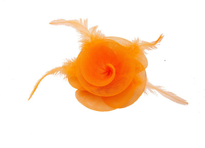 

simbright fha9 Hair Pin(Orange)