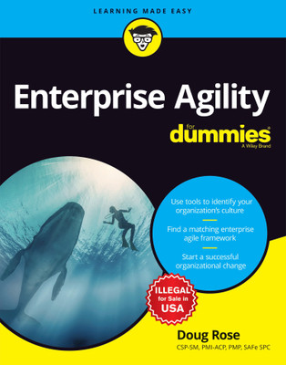 Enterprise Agility for Dummies(English, Paperback, Rose Doug)