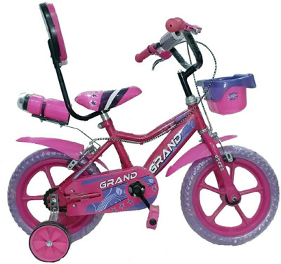 

Grand Dew 14 T Recreation Cycle(Single Speed, Pink), Pink and purple