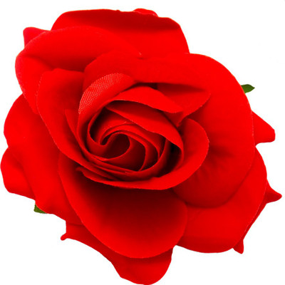 

simbright frp3 Hair Pin(Red)