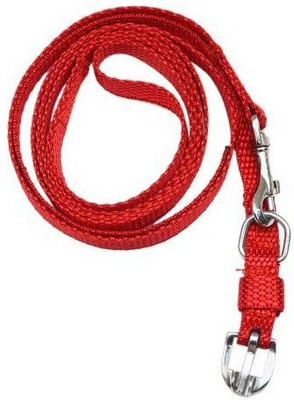 

Jeewan Dog nylon set medium dog premium 150 cm Dog & Cat Strap Leash(Red)