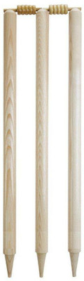 

QUINERGYS ™ High Quality Super Strength Club Youth Set of 3 Stumps(Brown)