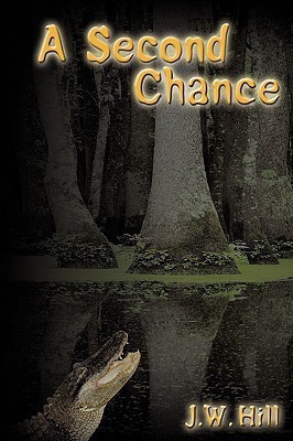 A Second Chance(English, Paperback, J.W. Hill)