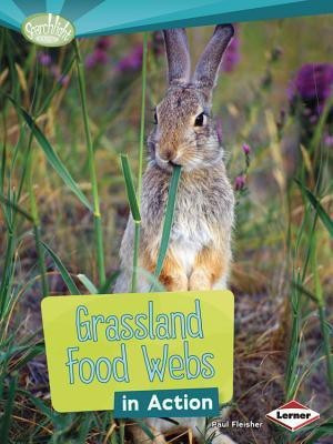 Grassland Food Webs in Action(English, Paperback, Fleischer Paul)