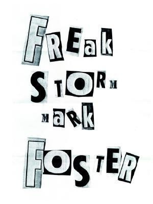 Freak Storm(English, Paperback, Foster Mark)
