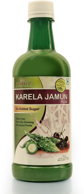 ROOTTREE NATURES KARELA JAMUN PLUS Nutrition Drink(500 ml, KARELA, JAMUN Flavored)