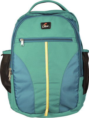 

Sky One Casual 27 L Backpack(Green), Sea green