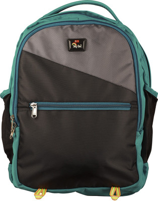 

Sky One Casual 27 L Backpack(Green), Sea green