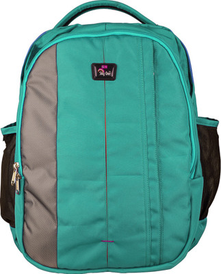 

Sky One Casual 27 L Backpack(Green), Sea green