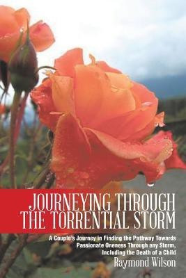Journeying Through the Torrential Storm(English, Paperback, Wilson Raymond)